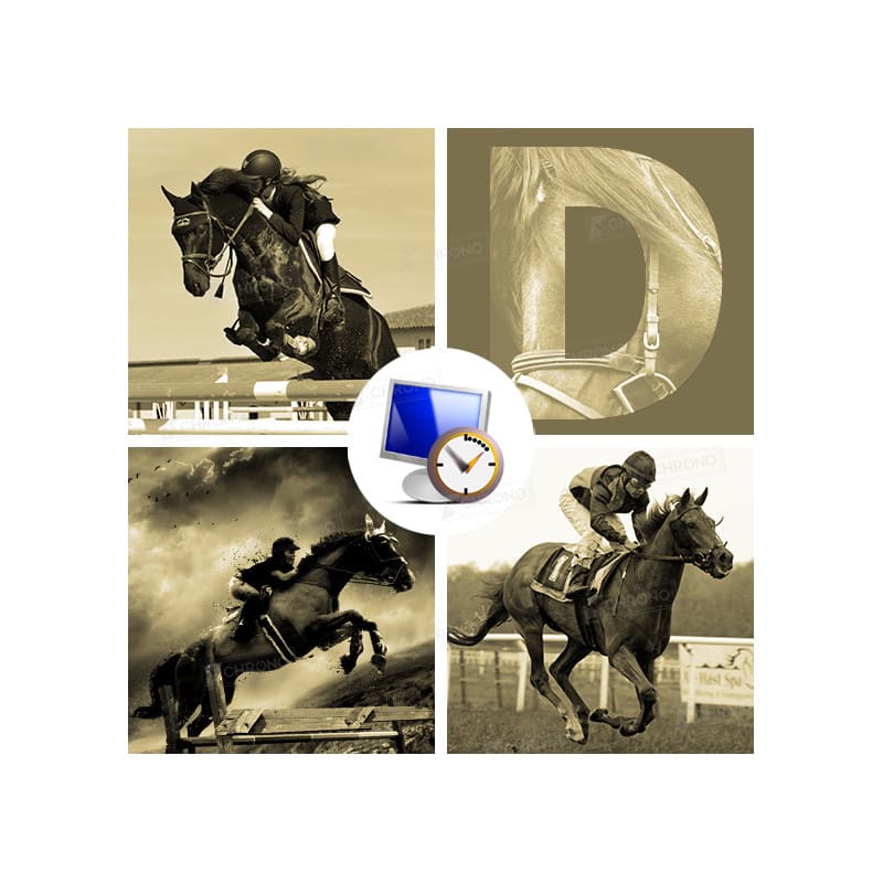 Display Equestre Pro