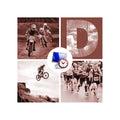 Display Msports Pro