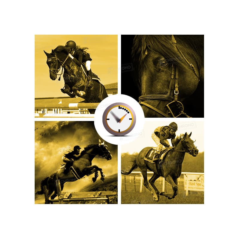 Equestre Pro