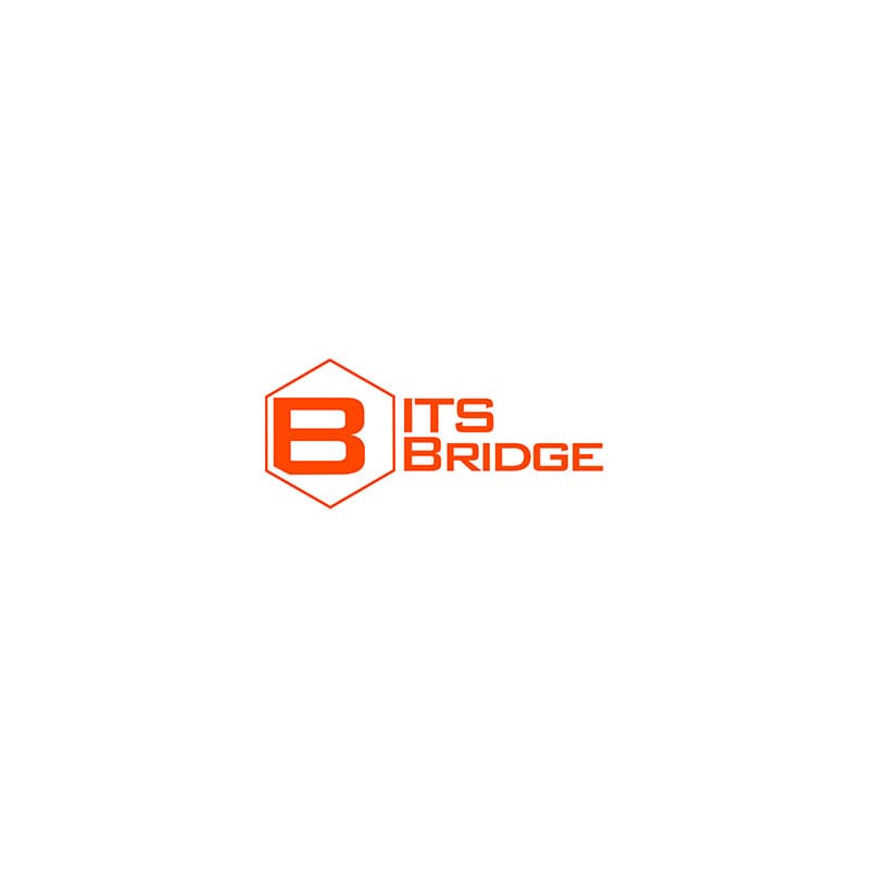 ITS Bridge