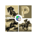 Publish Equestre Pro