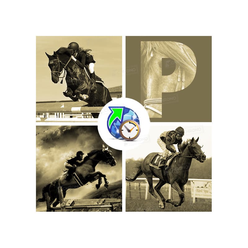 Publish Equestre Pro